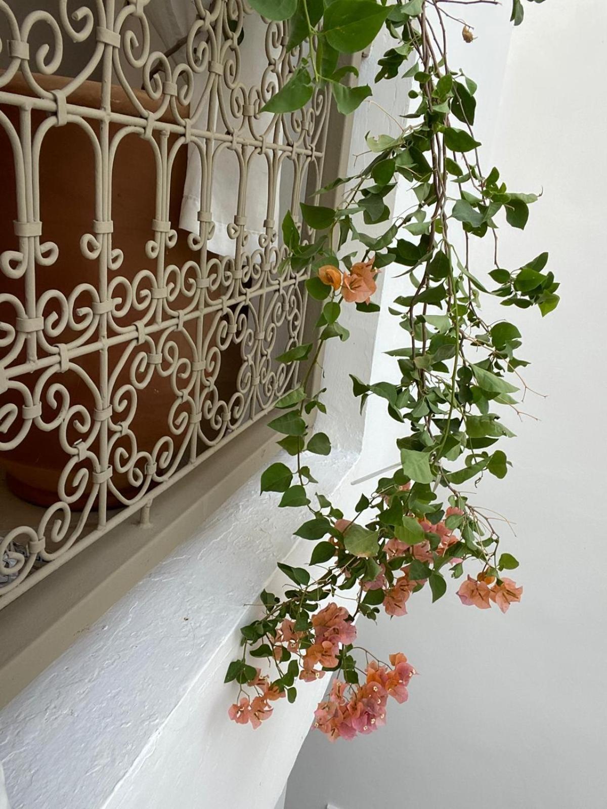 Private House Riad Arlette Exclusive Marrakesh Esterno foto